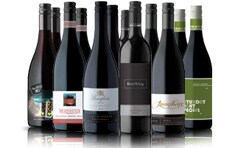 Shiraz Clearance