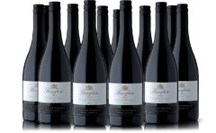 Beneficio Shiraz