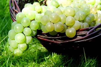 Wine Zone