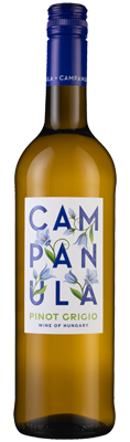Campanula Pinot Grigio Campanula Pinot Grigio