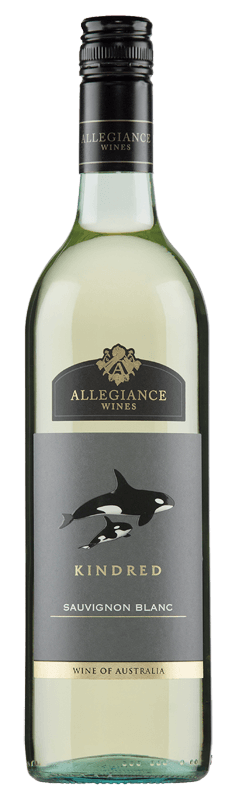 Allegiance Wines Kindred Sauvignon Blanc 2024 Allegiance Wines Kindred Sauvignon Blanc 2024