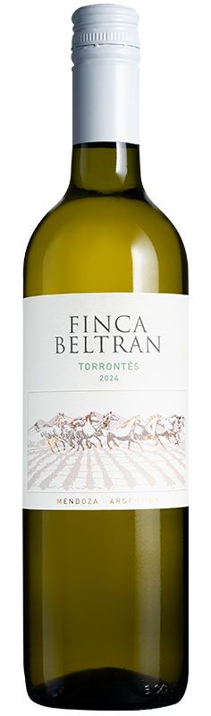 Finca Beltrán Torrontés 2024 Finca Beltrán Torrontés 2024
