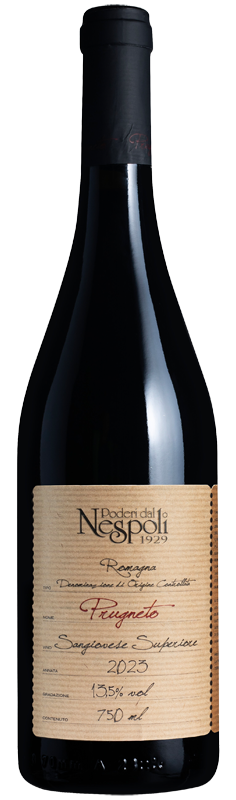 Prugneto Sangiovese Superiore 2023