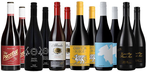 Festive Pinot Noir Dozen Festive Pinot Noir Dozen