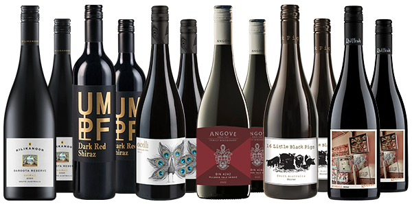 Everyday Shiraz Dozen