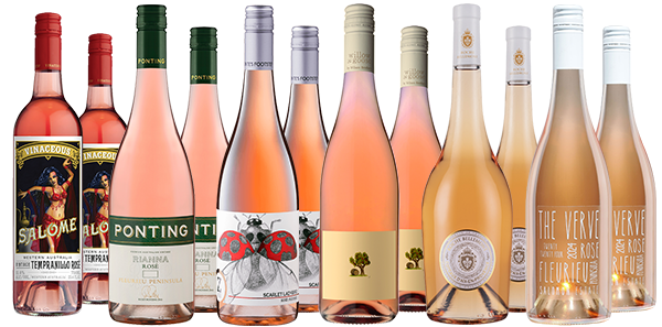 Premium Rose Dozen Premium Rose Dozen